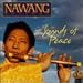 Song Seeking The Way by Nawang Khechog on Sounds of Peace at Amazon
