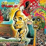 Oh My Gawd!!!...The Flaming Lips