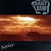 Song Some Kind Of by Giant Sand on Swerve at Amazon