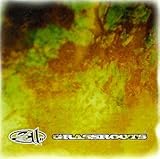 album / discography