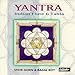 Song Dhun/Rag-Mala by Steve Gorn on Yantra: Flute and Tabla at Amazon