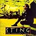 Song Shape Of My Heart by Sting on Ten Summoner's Tales at Amazon