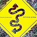 Song Shanghai Gumbo by Spyro Gyra on Road Scholars at Amazon