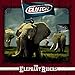 Song Ship Of Gold by Clutch on The Elephant Riders at Amazon
