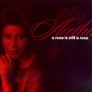 A Rose Is Still a Rose [CD Single #1]