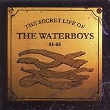 The Secret Life Of The Waterboys 81-85 (1994)