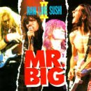 Raw Like Sushi, Vol. 2