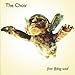 Song Ocean by The Choir on Free Flying Soul at Amazon