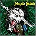 Song Malen Nach Zahlen by Dimple Minds on Maximum Debilum at Amazon