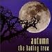 Song How It Came to Be This Way by autumn on Hating Tree at Amazon