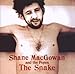 Song The Snake With Eyes Of Garnet by Shane MacGowan on The Snake at Amazon