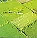 Song Daring Daylight Escape by Caedmon's Call on 40 Acres at Amazon