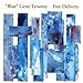 Song The Intermediary with a Rendition of Stardust (excerpt)  (8:29) by "Blue" Gene Tyranny on Free Delivery at Amazon