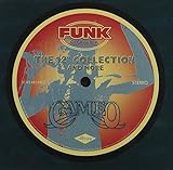 12-Inch Collection &amp; More