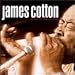 Song Love Me Or Leave Me by James Cotton on Best of the Vanguard Years at Amazon