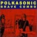 Song Why Oh Why by Brave Combo on Polkasonic at Amazon