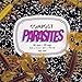 Song Daydreaming by Parasites on Compost at Amazon