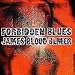 Song We Got To Get Together by James Blood Ulmer on Forbidden Blues at Amazon