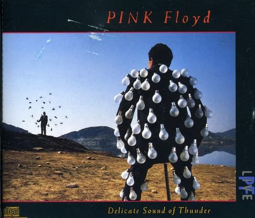 Delicate Sound of Thunder