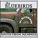 Song Fannin St. by Bluebirds on South from Memphis at Amazon