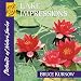 Song In the Regatta by Bruce Kurnow on Lake Impressions at Amazon