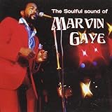 Soulful Sound of Marvin Gaye [Sony Special Products]