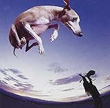 Flying Dog (1999)