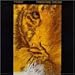 Song Smile by Tangerine Dream on Tyger at Amazon
