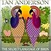 Song The Little Flower Girl by Ian Anderson on The Secret Language of Birds at Amazon