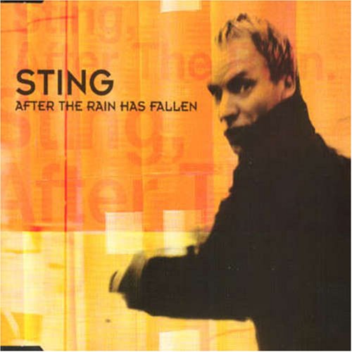After the Rain Has Fallen, Pt. 2 [Import CD Single]