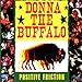 Song Arrows Pointing Sideways by Donna The Buffalo on Positive Friction at Amazon