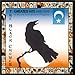 Song Sting Me by The Black Crowes on The Black Crowes - Greatest Hits 1990-1999: A Tribute to a Work in Progress at Amazon