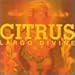 Song No One's Enemy by Citrus  on Largo Divine at Amazon