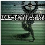 Greatest Hits: The Evidence