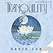 Song Tranquility One by David Sun on Tranquility at Amazon