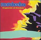 album / discography