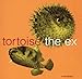 Song Central Heating by The Ex on In the Fishtank 5 [Vinyl] at Amazon