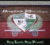 album / discography