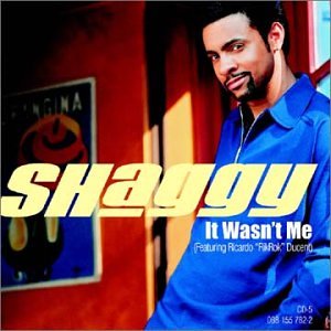 It Wasn't Me [US CD/12']