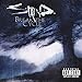 Song Open Your Eyes by Staind on Break the Cycle at Amazon