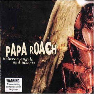 Angels & Insects