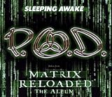 Sleeping Awake [UK CD]