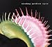 Song I'm So Open by Cowboy Junkies on Open at Amazon