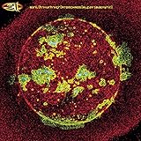 album / discography