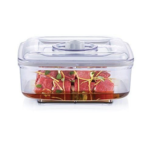 FoodSaver Vacuum Marinator The best budget vacuum seal marinator for the times when you need