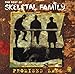 Song Far and Near by Skeletal Family on Best of Skeletal Family: Promised Land at Amazon