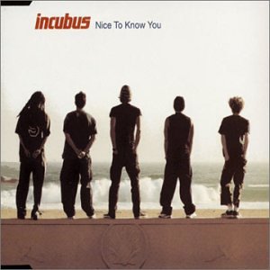 Nice to Know You [Australia Single]