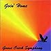 Song Livin&#39; In A Panic by Goose Creek Symphony on Goin&#39; Home at Amazon