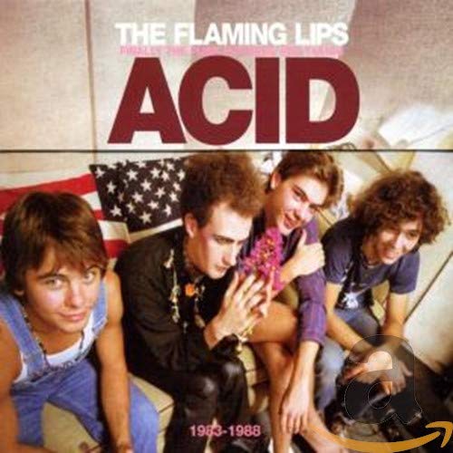 Finally, The Punk Rockers Are Taking Acid