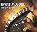 Song Tema Musasa (Mbira Blues) by Ephat Mujuru on Journey of the Spirit at Amazon